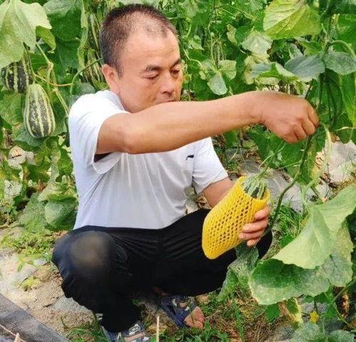 吃瓜也是一种变相网暴,揭秘变相网暴的隐秘角落