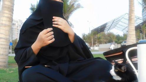 娱乐吃瓜君和七七原视频,揭秘幕后故事